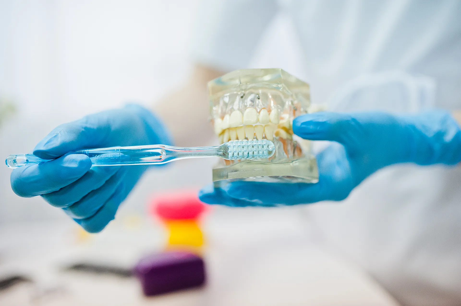 Close-up of hands in blue medical gloves holding a transparent dental model with braces and a toothbrush.